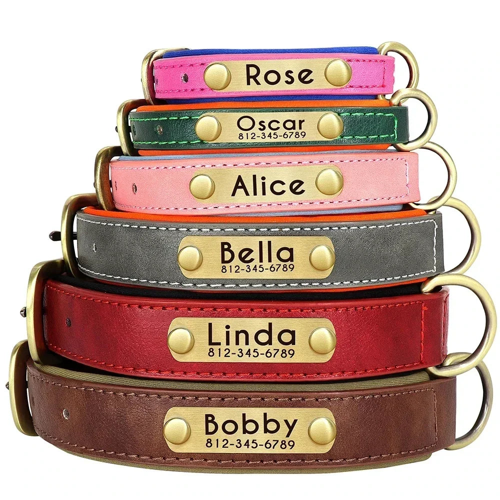 Choisir la taille du collier en cuir pour son chien