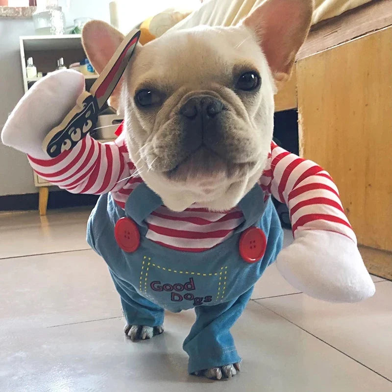 Chien déguisé pour Halloween avec accessoires Maison Cherami