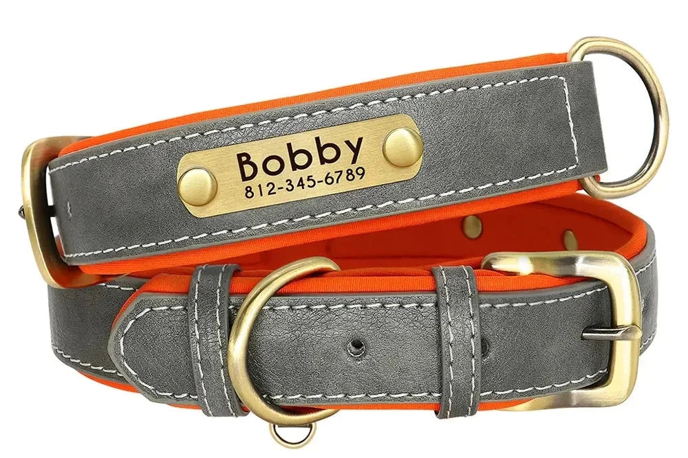 Collier chien coloris disponibles Maison Cherami