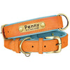 Collier chien guide des tailles XS à XL