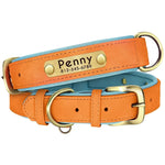 Collier chien guide des tailles XS à XL