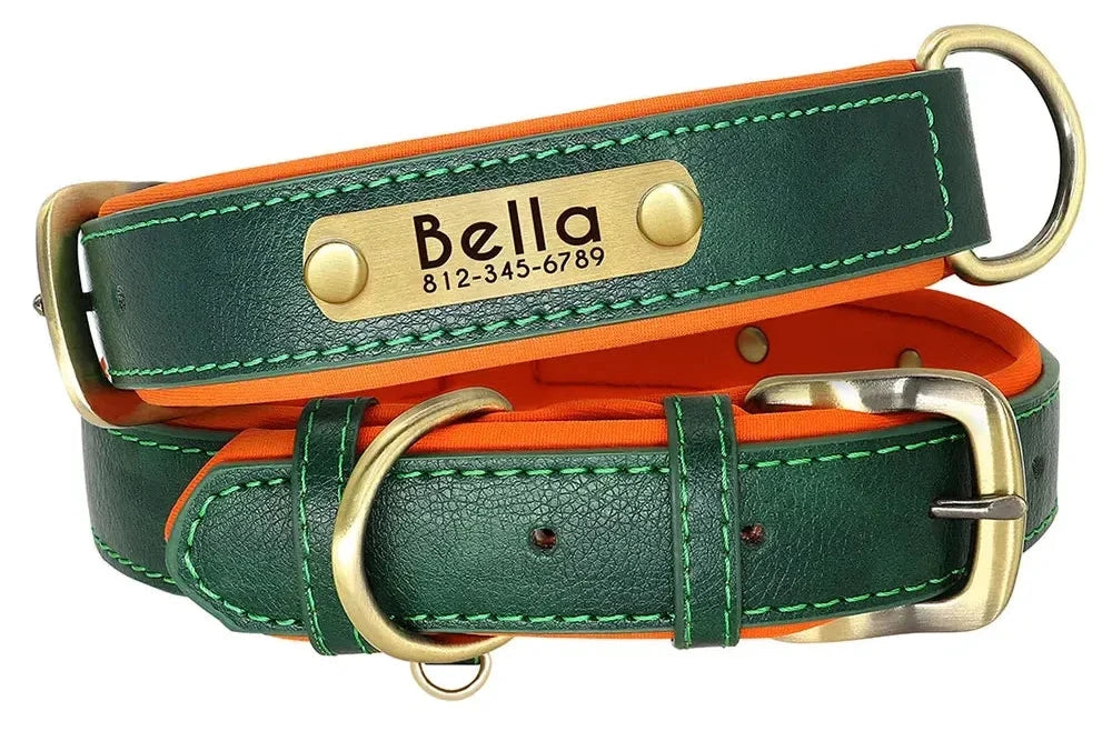 Collier chien anneau de fixation renforcé
