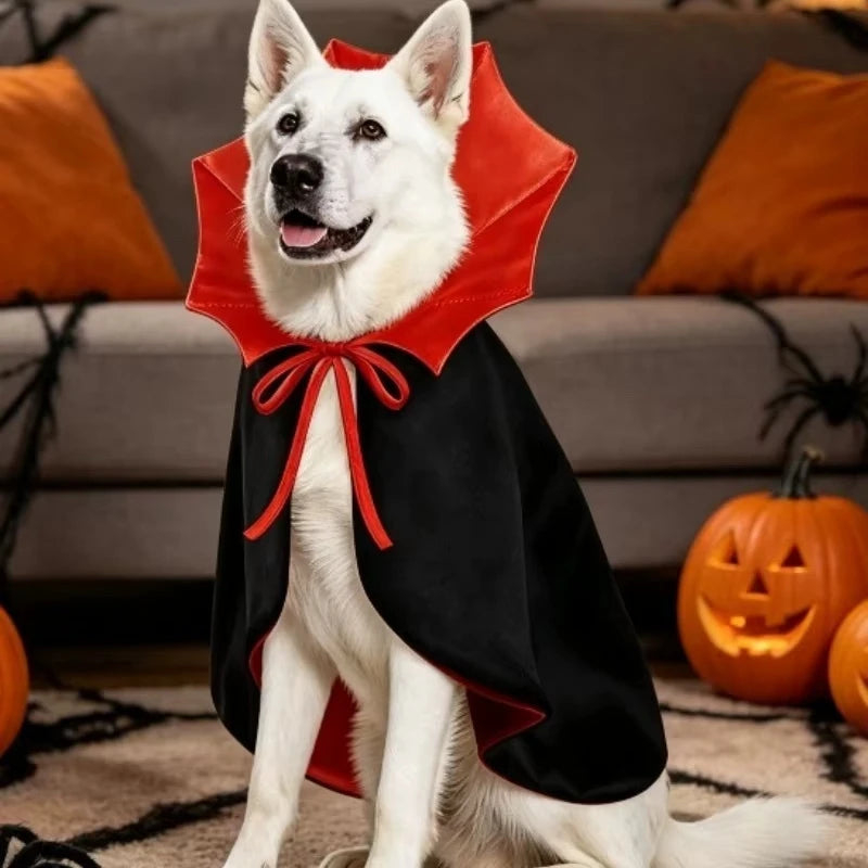 Cape Vampire Halloween pour Chien