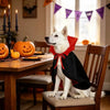 Cape Vampire Halloween pour Chien