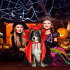 Cape Vampire Halloween pour Chien