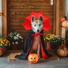 Cape Vampire Halloween pour Chien