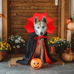 Cape Vampire Halloween pour Chien