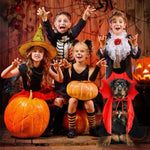 Cape Vampire Halloween pour Chien