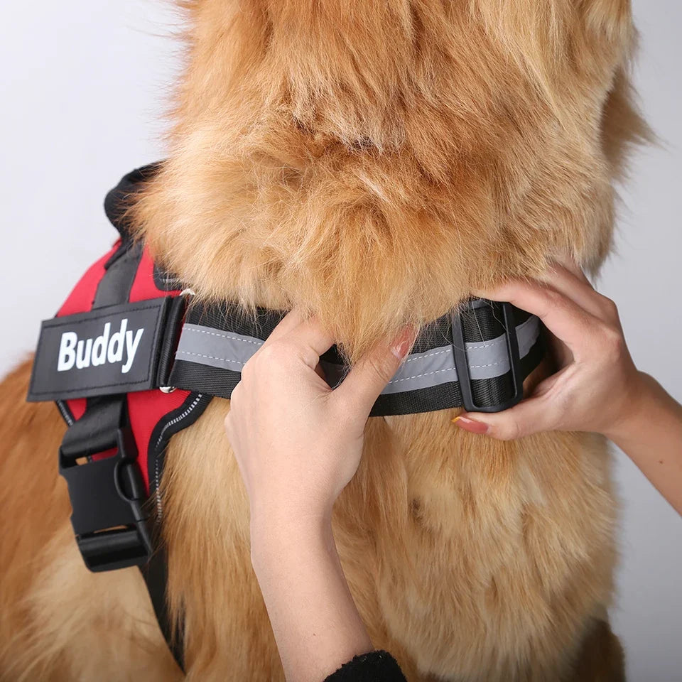 Détail des bandes réfléchissantes du harnais pour chien