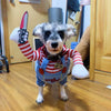 Costume Halloween pour chien, look poupée maléfique, gros plan sur le costume