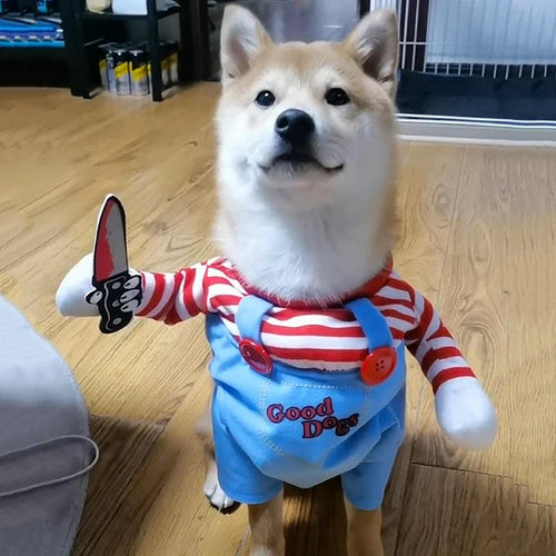 Costume Halloween pour chien, look poupée maléfique, chien de dos
