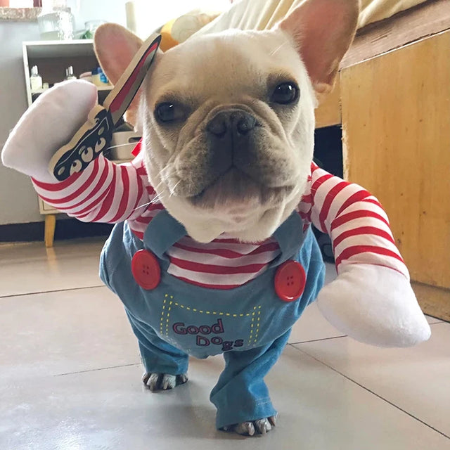 Costume Halloween pour chien, look poupée maléfique, vue de face